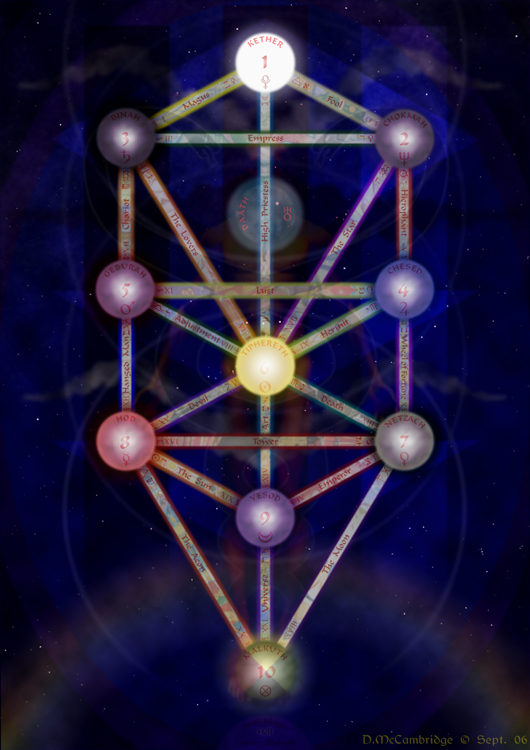 Tree-Of-Life-Web-image.jpg